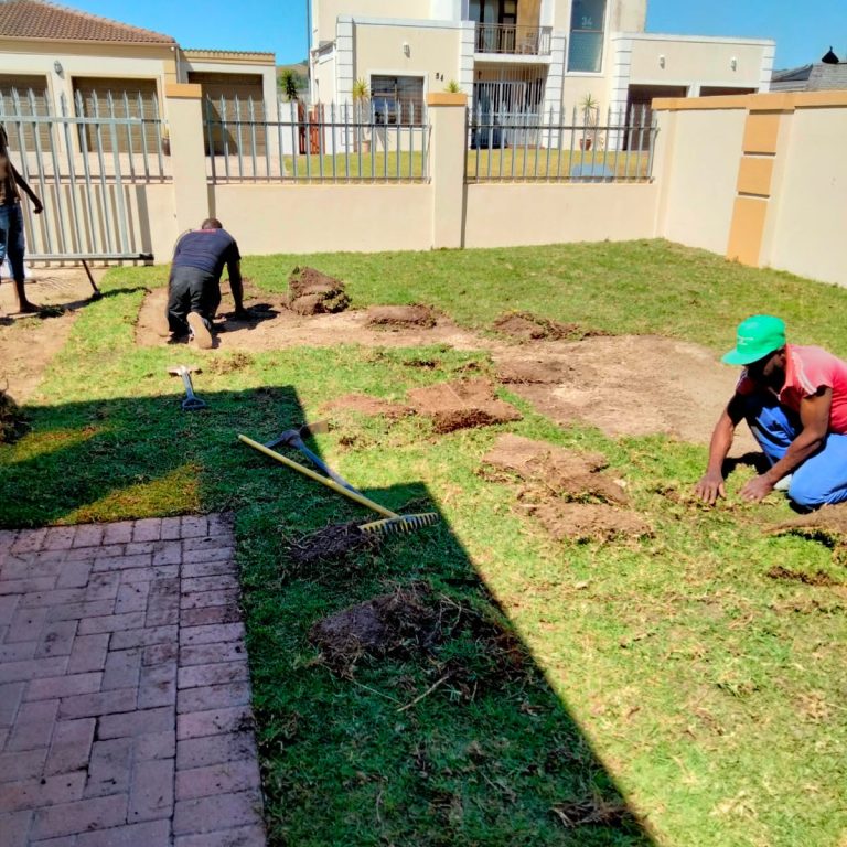 tree felling and landscaping cape town